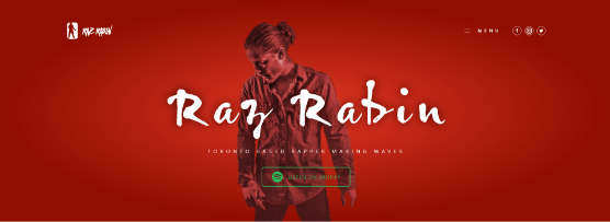 Raz Rabin Website design project by MB Creative