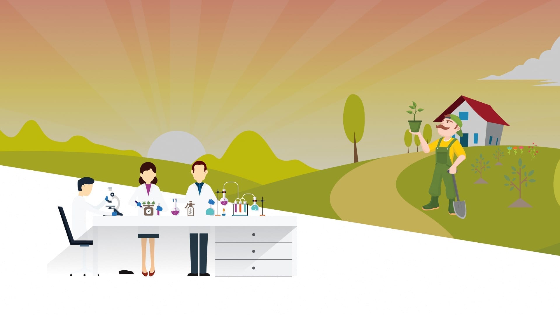 Custom illustrations website launch for startup